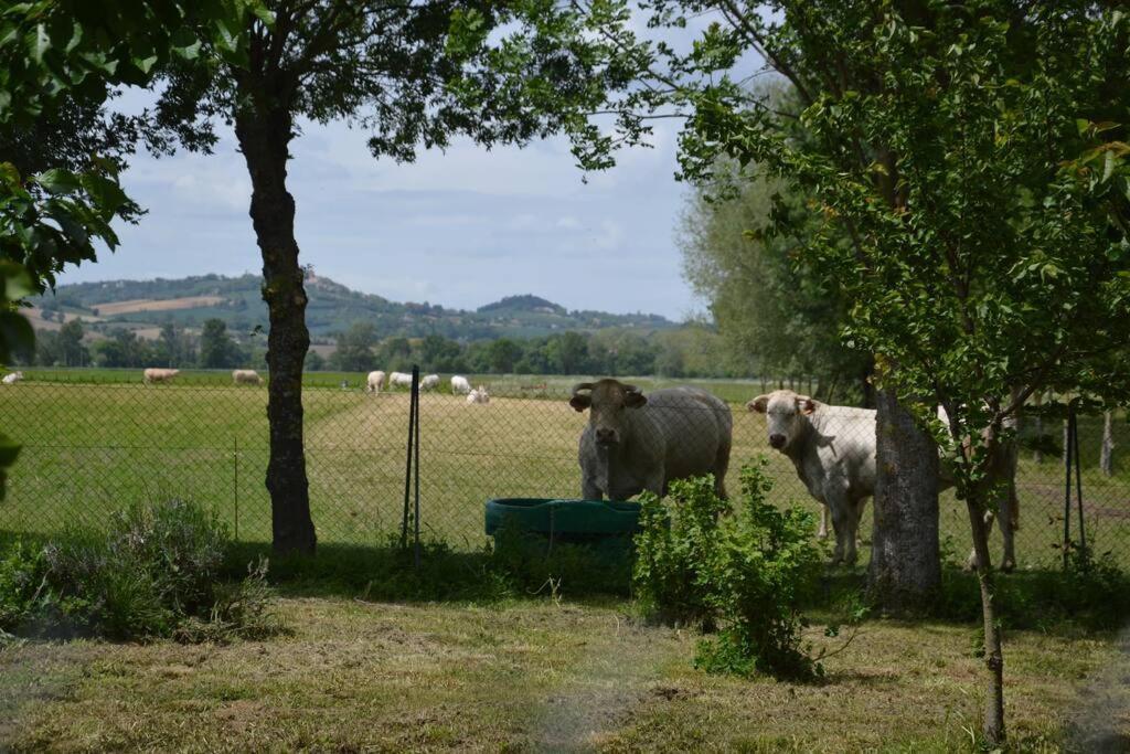 Gite A La Ferme De La Bouriette Revel  Dış mekan fotoğraf